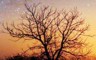 Ethereum's Gas Limit Jumps to 60M: Unlocking New Throughput Records Ahead of Fusaka