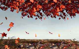 Ethereum's Gas Limit Jumps to 60M: Unlocking New Throughput Records Ahead of Fusaka