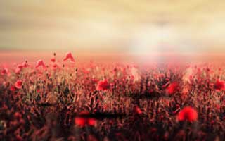 Stocks Futures: The US Market's Pulse Today – And What It Means For Tomorrow